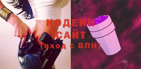 шишки Горняк