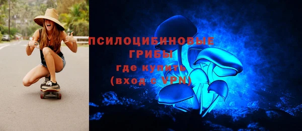 шишки Горняк