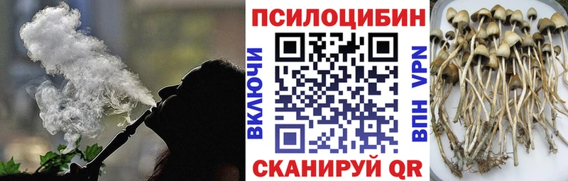 где найти наркотики  Железноводск  площадка наркотические препараты  Псилоцибиновые грибы Cubensis 